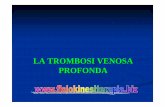 LA TROMBOSI VENOSA PROFONDA - Fisiokinesiterapiafisiokinesiterapia-news.it/download/tvp3.pdf · MALATTIA VENOSA TROMBOEMBOLICA Condizione in cui un coagulo di sangue (TROMBO) si forma