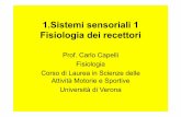 1.Sistemi sensoriali 01 - Carlo Capelli · • Quantità: sensazioni con la stessa qualità possono differenziarsi per la quantità • La percezione, quindi, di uno stimolo è un