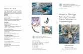 Flyer Master Chirurgia Robotica 2017-2018 · (epatectoma destra, epatectomia sinistra, settoriecto-mia laterale, segmentectomia) • Chirurgia pancreatica resettiva (pancreasectomia