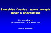 Bronchite Cronica: nuove terapie spray e prevenzione · Inquinamento Atmosferico e BPCO Il PARTICOLATO è uno degli elementi più determinanti ai fini del danno respiratorio e cardiovascolare
