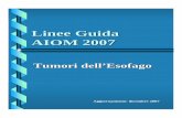 Linee Guida AIOM 2007media.aiom.it/userfiles/files/doc/LG/2007_LGAIOM_Tumori_esofago.pdf · caratterizzata dalla sostituzione dell'epitelio squamoso ... con epitelio colonnare metaplasico;