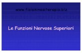 nervose.pdf · Le Funzioni Nervose Superiori Col termine di Funzioni Nervose Superiorisi indicano tutte quelle funzioni che permettono ad ogni essere umano di avere coscienza del