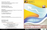 Corso Esecutori di Emergenza in ambito pediatrico (PBLS D) .PROGRAMMA 09.00 - 09.15 Presentazione