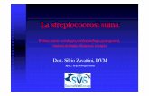 Dott. Silvio Zavattini, DVM - swinevetgroup.it · episodi di morte improvvisa, sintomi nervosi come disturbi dell’equilibrio, testa ripiegata su un lato, frequente sbattimento delle