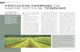 PRECISION FARMING OK ANCHE SOTTO IL TENDONE · dei vigneti allevati a tendone in Abruzzo mediante implementazione ed analisi di mappe ... diserbanti, agrofarmaci, acqua, ecc.) in
