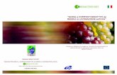 “GUIDA ai COMPOSTI BIOATTIVI dai RESIDUI di … area/Booklets/Booklet GRAPE_italian_4.pdf · ai composti bioattivi presenti nei residui di lavorazione di pomodoro, olive ed uva,