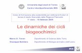 Le dinamiche dei cicli biogeochimici - iris-sostenibilita.net · Agenda 17.00 Benvenuto e agenda 17.15 Commento dei questionari 17.30 Le preconoscenze dei dottorandi 18.00 I cicli