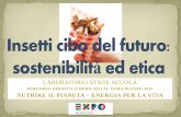 PERCORSO DIDATTICO DEDICATO AL TEMA DI EXPO 2015 … · bisogni della generazione presente senza compromettere la possibilità delle generazioni future di realizzare i propri». ...
