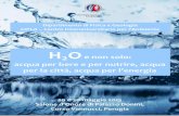 H2O e non solo: acqua per bere e per nutrire, acqua per la ... · Coordinamento di Alessandro PACIARONI Dipartimento di Fisica e Geologia, Università degli Studi di Perugia Sintesi