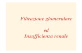 Filtrazione glomerulare ed Insufficienza renale - etsrm.itetsrm.it/doc_rubriche/232-002-insufficienza renale.pdf · • Regola la filtrazione glomerulare e il riassorbimento di sodio