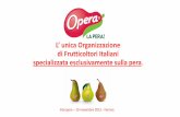 L’ unica Organizzazione di Frutticoltori Italiani ...interpera.weebly.com/uploads/1/7/0/4/17040934/opera_-_la_pera... · Un grande Consorzio di Produttori di pere che rappresenta: