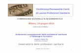 (Università di Bologna) Osservatorio delle professioni ...cplps.altervista.org/blog/wp-content/uploads/2016/06/02-Mastrillo... · (Università di Bologna) Osservatorio delle professioni