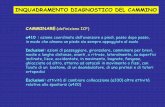 INQUADRAMENTO DIAGNOSTICO DEL CAMMINOfisioterapia-pavia.myblog.it/media/02/02/2426958799.pdf · CAMMINARE:(definizione ICF) ... Sd.Ipocinetica si si si no no II STRATO DECISIONALE: