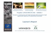 Laymans report (IT) - Sasies prova è stata complessa perché l’impianto utilizzato è regolato per trattare sabbia umida; quindi lavorando con materiale molto bagnato ed ‘appiccicoso’