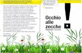 lnx.tartufaifvg.itlnx.tartufaifvg.it/wp-content/uploads/2015/07/Volantino-_Occhio... · e Microbiologia den.ospedale di san Daniele del Friuli tel. 0432 949351 Presidio regionale