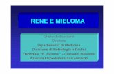 Rene e mieloma - Home ASPREMARE -  · RENE E MIELOMA Gherardo Buccianti Direttore Dipartimento di Medicina Divisione di Nefrologia e Dialisi Ospedale “E. Bassini” - Cinisello