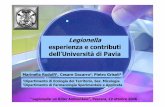 Legionella esperienza e contributi dell’Università di Pavia · • Allegato 2: Modalità di campionamento, trasporto e conservazione dei campioni. Incremento del numero dei casi
