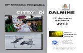 15° Concorso Nazionale 2013 - Circolo Fotografico Dalmine · DESTEFANIS GIANCARLO Torino TO Torino 1 2007 SOCIETÀ FOTOGRAFICA SUBALPINA AFI - EFIAP/S ... MACCHERONI LUCIANO Cascina
