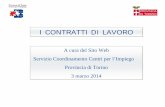 I CONTRATTI DI LAVORO - Provincia di Torino · -piano formativo individuale deve prevedere obbligatoriamente la formazione delle competenze tecnico-professionali e specialistiche,