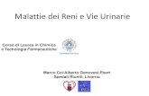 Malattie dei Reni e Vie Urinarie - omero.farm.unipi. Reni 2016.pdf  - Nefroangiosclerosi ... - Elementi