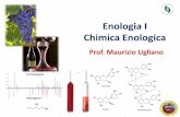 Enologia I Chimica Enologica - dbt.univr.it · Programma del corso Reazioni chimiche e biochimiche di interesse enologico –Reazioni enzimatiche intra- e extra-cellulari –Reazioni