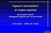 Pigmenti antiossidanti di origine vegetaleeboals.bologna.enea.it/matform/Biotec/Rosati.pdf · Pigmenti antiossidanti di origine vegetale Dai prodotti naturali all’ingegneria genetica