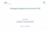 Strategie di gestione del rischio CO2 - mercatoelettrico.org · Gestione impianti Obiettivi Ambientali Competenze di Mercato Competenze Commerciali Gestione Operativa Saldo di GRUPPO
