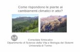 Come rispondono le piante ai cambiamenti climatici in atto ... · In Italia i primi studi risalgono alla fine dell’800. ... una periodicità dei rilievi; ... DOY è il DOY è il