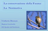 La conservazione della Fauna: La Normativa Programma... · degli uccelli selvatici. ... Art. 2 -Oggetto della tutela sono le specie di mammiferi e ... nelle alpi la quota scende al