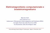 Elettromagnetismo computazionale e bioeletromagnetismoing.univaq.it/emc-chap-it/download/Maurizio_Sarti_Elettromagnetismo... · Elettromagnetismo computazionale e bioeletromagnetismo
