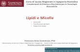 Lipidi e Micelle - Sapienzamauro.pasquali/page2/page9/downloads/files/21... · Complementi di Chimica e Biochimica per le Tecnologie Biomediche Lipidi e Micelle • Generalità •