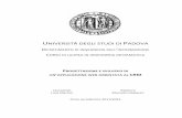 UNIVERSITÀ DEGLI STUDI DI PADOVA - Benvenuti su Padua ...tesi.cab.unipd.it/40916/1/Tesi_-_Luca_Martini_-_561831.pdf · strumenti sono stati facilmente gestiti attraverso le suite
