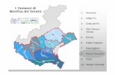 I Consorzi di Bonifica del Veneto - acquerisorgive.it · redazione dei piani di gestione dei siti “Natura 2000”; coordinamento dei ... idraulico, necessari per un'efficace azione