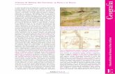 Il bosco di Golena del Torreano: la flora e la fauna Geografia · totto ettari, ma la varietà e l’associazione delle spe- ... caudatus), una minuscola cincia dalla coda staor-dinariamente