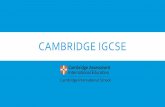 CAMBRIDGE IGCSE ALLEGATI DEL POF... · status di Cambridge International ... la versione internazionale ... inglese di due discipline caratterizzanti l’indirizzo del Liceo Scientifico