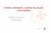 FERITE, EMORAGIE, LESIONI DA CALDO E DA FREDDOcripr.weebly.com/uploads/2/0/2/7/20276515/modulo_3_lez._f.pdf · Modulo 3 Lezione F Croce Rossa Italiana Emilia Romagna FERITE, EMORAGIE,