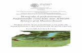 Corso di perfezionamento in Sistemi informativi e governo ... · conservazione geologica e geomorfologica nel mantenimento dei caratteri di molti paesaggi europei, ... nel 1999 a