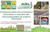 Professionalità dei produttori biomasse e mercato dei ... · Il 4,1% delle famiglie utilizza pellet ... Consumo di biomasse in Italia . ... Fidelizzazione utenti finali e stabilizzazione