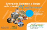 Energia da Biomasse e Biogas nel cuore del m ...sito.entecra.it/portale/public/documenti/a4emed_programma.pdf · Pellet EN plus: guida per riconoscere il pellet certiﬁ cato ...