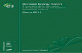 Biomass Energy Report - Agenzia provinciale per le risorse ...osservatorio.energia.provincia.tn.it/apeoe/sites/default/files/... · 3.2.1 Il mercato della produzione di energia da