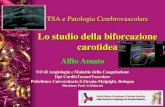 Lo studio della biforcazione carotidea patologia dei T.S.A.-Prof. Alfio Amato.pdf · nell'ictus ischemico giovanile). ... Le cause di ischemia del territorio posteriore sono, nella