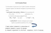 FOTOSINTESIluminosa [modalità compatibilità] · FOTOSINTESI La fotosintesi è il processo con il quale le piante sintetizzano comppg g posti organici da materiali inor ganici in