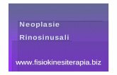 rinosinusali - fisiokinesiterapia.biz · Carcinoma squamoso Istotipo più comune (80%) Mascellare > fossa nasale > etmoide ... istologicamente simile all’adenocarcinoma del colon