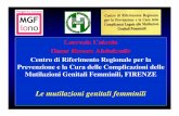 Le mutilazioni genitali femminili - GLNBI · Generale/Pediatra/Ginecologo ... Rogai Mustafa Abisharaf University of Connecticut. L. Catania, ... Roma, 1997. L. Catania, O.H.Abdulcadir