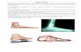 Sintomatologie -Schede Tecniche-Schede+Tec... · soprattutto delle ossa più sporgenti, o di movimenti innaturali delle ossa mobili, ma anche un insufficiente tono muscolare può