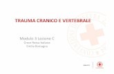 TRAUMA CRANICO E VERTEBRALE - Croce Rossa Parma - Homecripr.weebly.com/uploads/2/0/2/7/20276515/modulo_3_lez._c.pdf · trauma Cranico e vertebrale, alla fine di questa lezione sarà