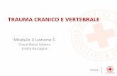 TRAUMA CRANICO E VERTEBRALE - Croce Rossa Italiana · trauma Cranico e vertebrale, alla fine di questa ... CLASSIFICAZIONE DEL TRAUMA CRANICO LESIONI COLONNA CERVICALE. 30/04/2012