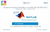 Scuola di Calcolo Scientifico con MATLAB (SCSM) 2017 · l’elaborazione e il restauro delle immagini digitali, corredato da una serie di strumenti grafici utili per valutare la qualità