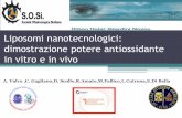 Liposomi nanotecnologici: dimostrazione potere ... · Liposomi nanotecnologici: dimostrazione potere antiossidante in vitro e in vivo ... Sindromi da occhio secco nel paziente reumatologico