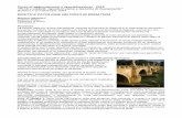 Difetti e patologie dei ponti in muratura - Lorenzo Jurina · Muro di spina: muro robusto di diversa struttura messo in opera allo scopo di contrastare una spinta. Nei ponti è impiegato